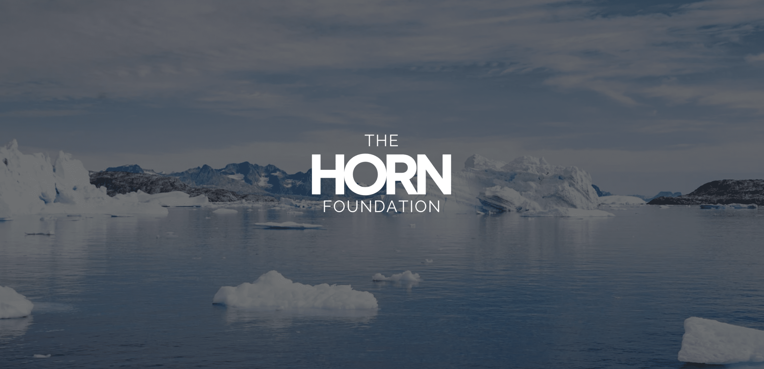 HORN FOUNDATION